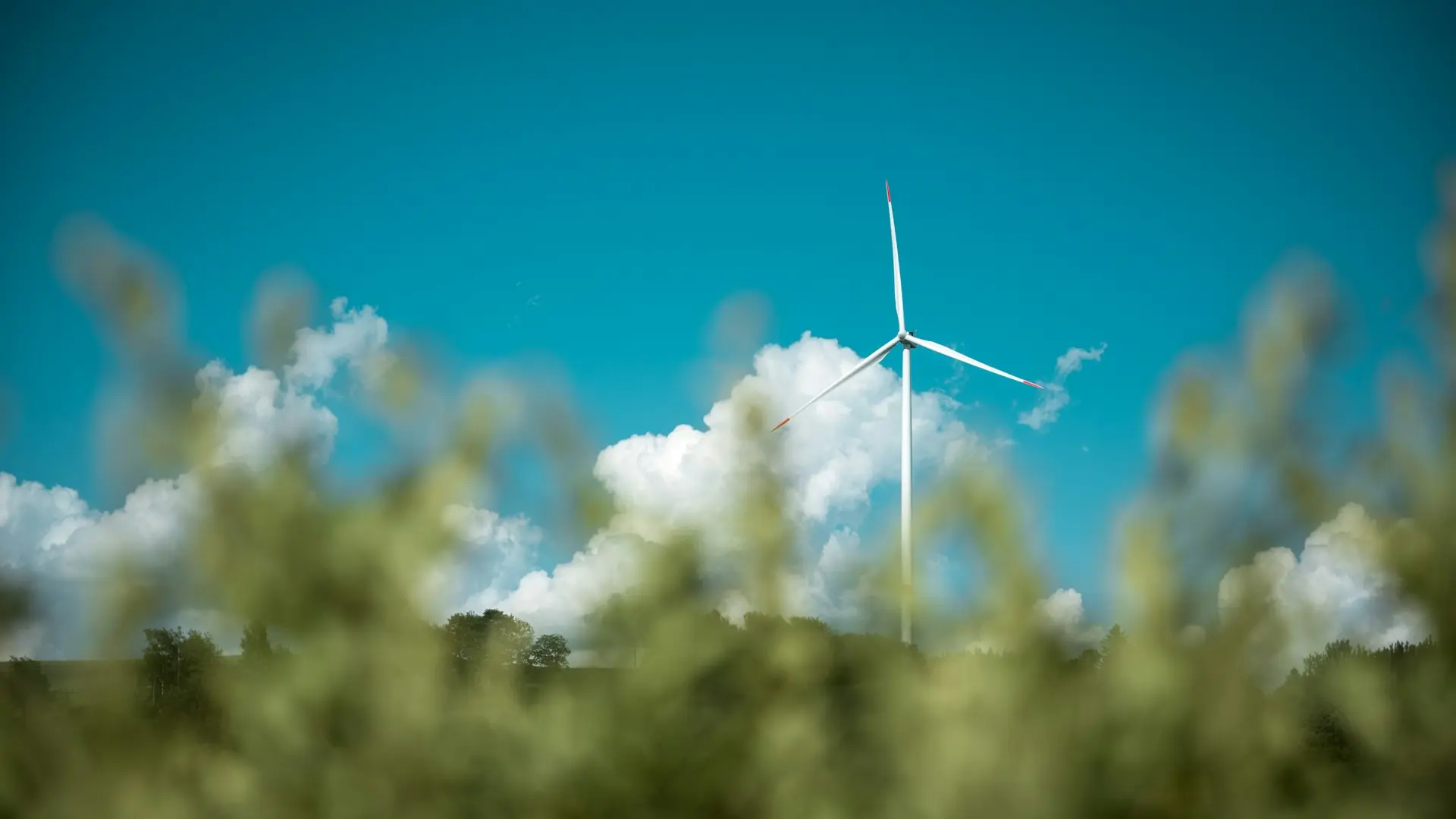 Factor Ambiental: Sostenibilidad y Oficina “Sin Papeles” Factor Ambiental: Sostenibilidad y Oficina “Sin Papeles”